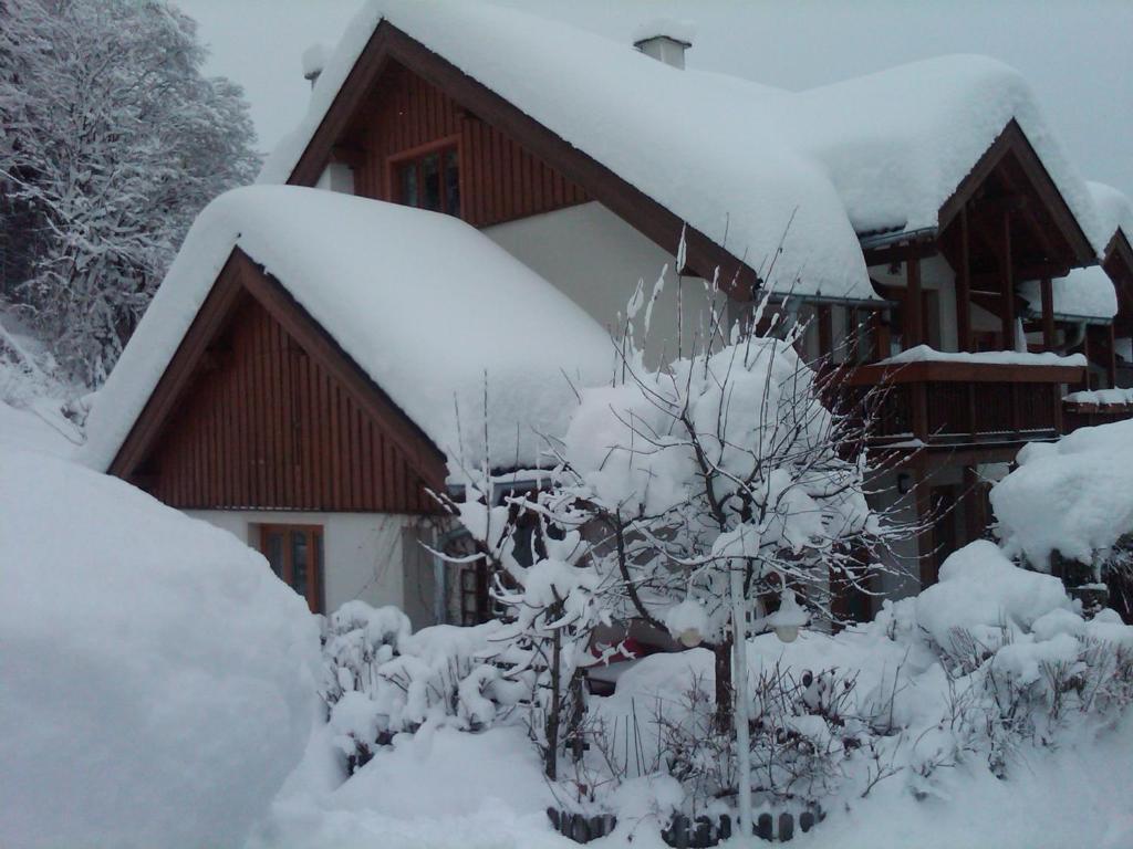 Ferienhaus Waldsicht Flachau Extérieur photo